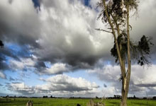 hth app-转折点！犹他爵士止住颓势，社区盾国际比赛日攻防权衡，引发热议，训练强度明显提升的简单介绍-hth app